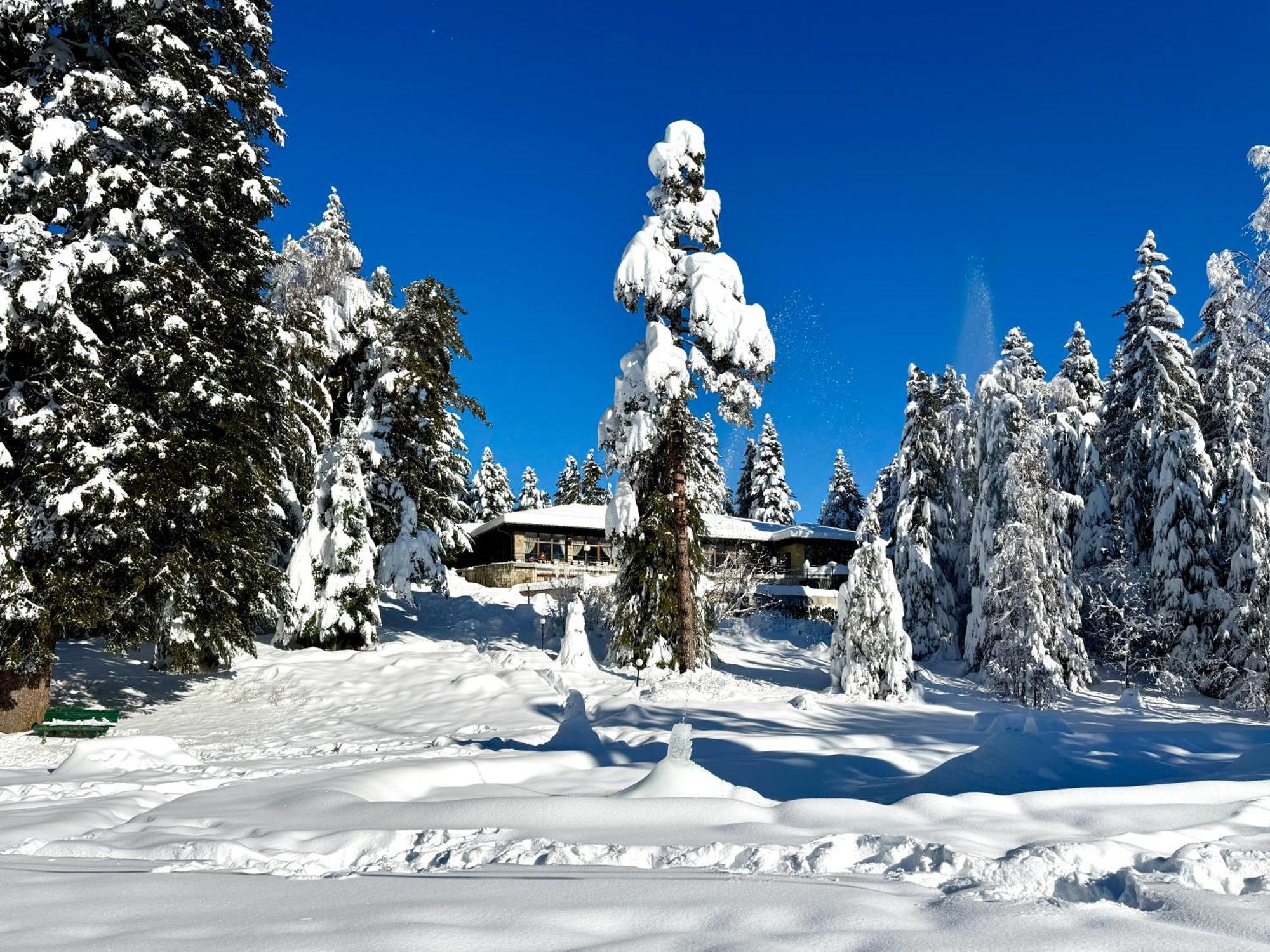 Hotel Bor Borovets Exterior foto